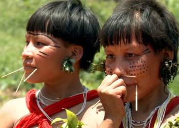 Alertas de garimpo na Terra Yanomami caem 73% em 2024