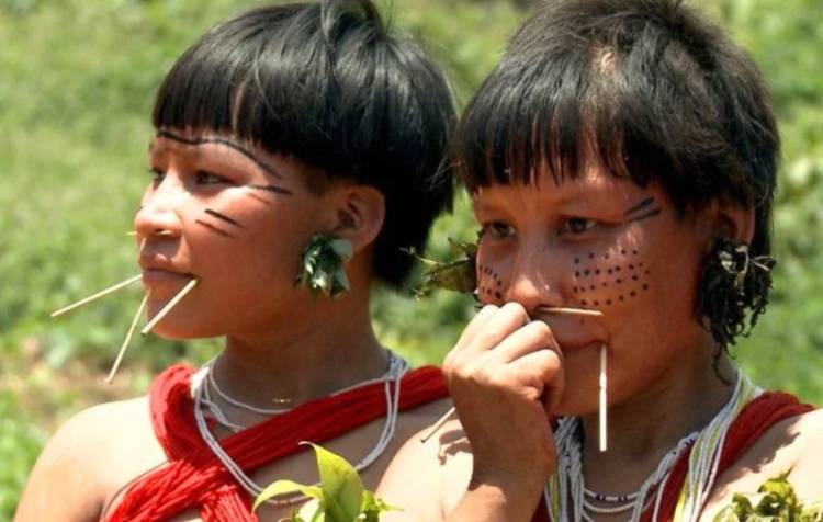 Alertas de garimpo na Terra Yanomami caem 73% em 2024