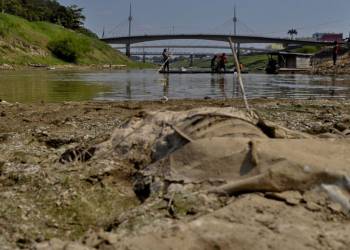 Governo do Acre decreta situação de emergência por grave seca no estado