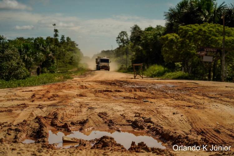 Observatório BR-319 lança mapa interativo com dados sobre área de influência da rodovia