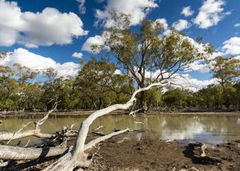 Lançamento do ClimateHack no Brasil acontece nesta quinta com lideranças femininas em mudanças climáticas