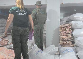 Frigorífico é multado em mais de R$ 110 mil por falta de licenciamento, em Manacapuru