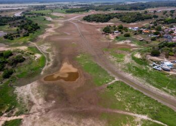 Deputada Mayra Dias solicita transparência e ações urgentes para enfrentar seca no Amazonas