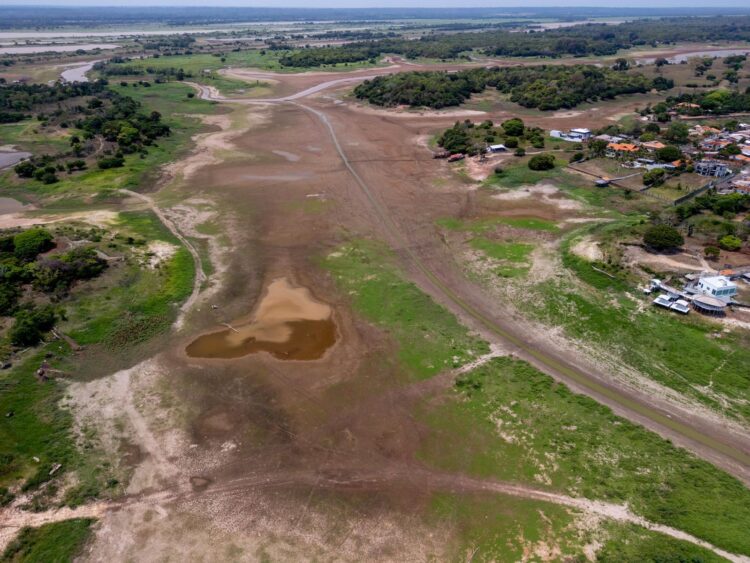 Deputada Mayra Dias solicita transparência e ações urgentes para enfrentar seca no Amazonas
