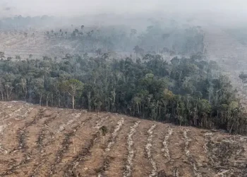 Dos 20 municípios com mais focos de incêndio, 18 estão na lista dos maiores desmatadores da Amazônia