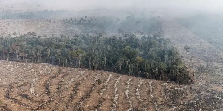 Dos 20 municípios com mais focos de incêndio, 18 estão na lista dos maiores desmatadores da Amazônia