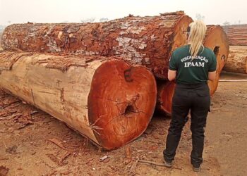 Operação Tamoiotatá: Ipaam aplica mais de 100 milhões em multas, em 140 dias de operação no sul do Amazonas