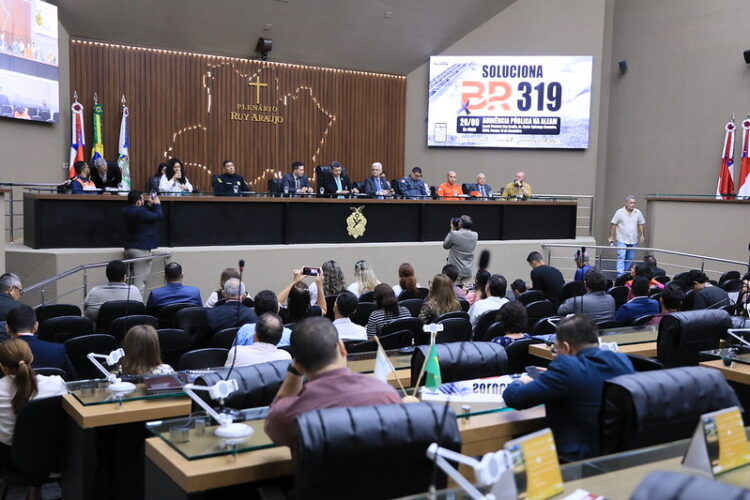 DPE-AM participa de audiência para tratar sobre questões relacionadas à BR-319