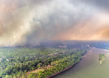 Fire on the banks of the drought-stricken Xingu River in the Capoto-Jarina Indigenous Territory on September 12th, 2024. Photo © Marizilda Cruppe / Greenpeace.