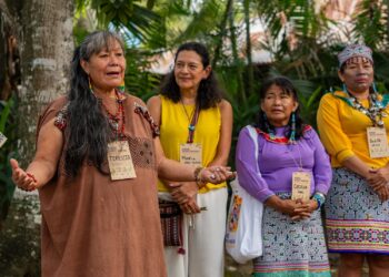 Mulheres Indígenas Forjam Alianças Estratégicas para Defender seus Territórios e Vidas