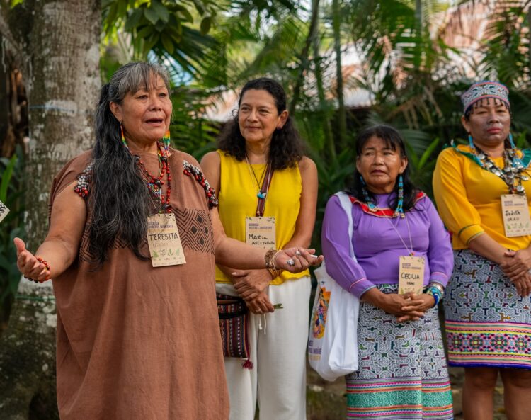Mulheres Indígenas Forjam Alianças Estratégicas para Defender seus Territórios e Vidas