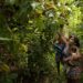 A Floresta Ancestral: Como os Povos Indígenas Transformaram a Amazônia em um Vasto Jardim
