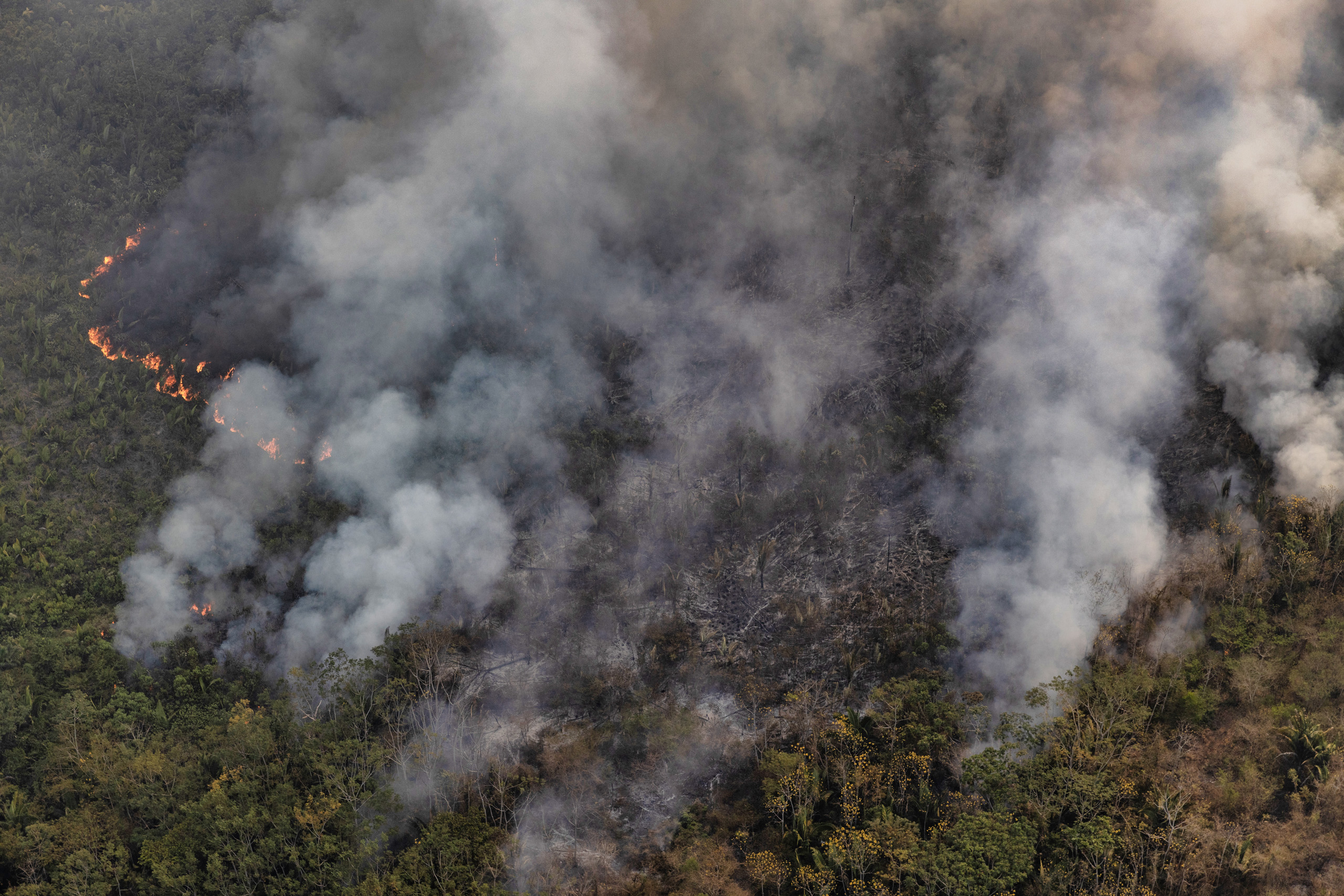 O Greenpeace Brasil realizou um levantamento aéreo no sul do Amazonas e no norte de Rondônia para monitorar o desmatamento e as queimadas em julho de 2024. Foto © Marizilda Cruppe / Greenpeace.