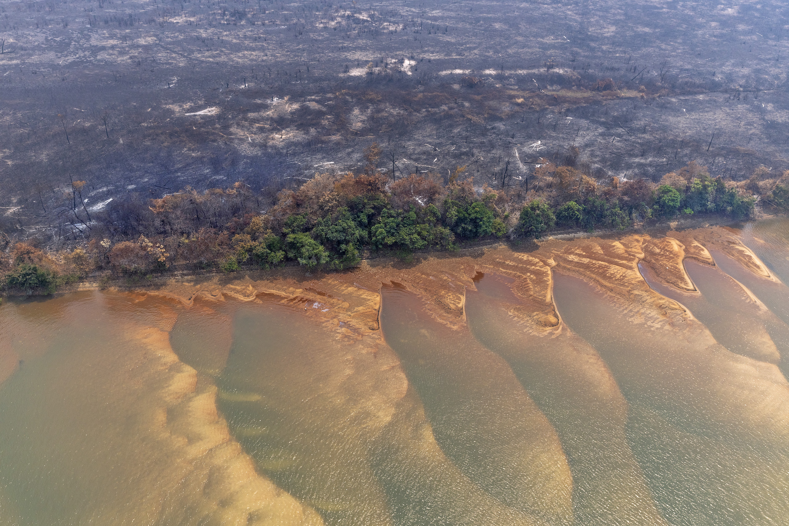 Terra arrasada às margens do Rio Xingu, assolado pela seca, em 12 de setembro de 2024. Foto © Marizilda Cruppe / Greenpeace.