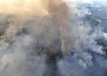 Greenpeace Brazil conducted an aerial survey in southern Amazonas and northern Rondônia to monitor deforestation and fires in July 2024. Photo © Marizilda Cruppe / Greenpeace.