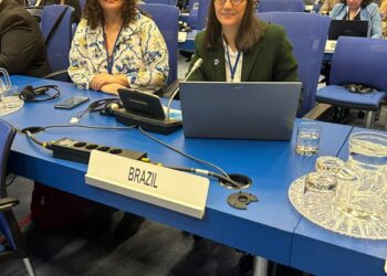 ONU adota proposta do Brasil para reforçar prevenção e combate a crimes transnacionais contra o meio ambiente — Ibama