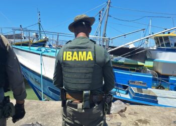 Ibama apreende mais de duas toneladas de peixes e barbatanas de tubarões em operação no Espírito Santo — Ibama