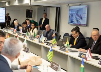 Conselho Nacional aprova Nota de Pesar em homenagem à promotora de Justiça Christiane Dolzany