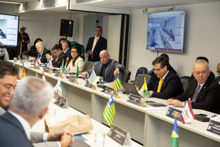 Conselho Nacional aprova Nota de Pesar em homenagem à promotora de Justiça Christiane Dolzany