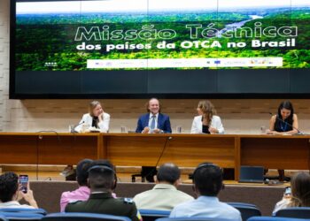 Por meio de cooperação internacional, Ibama fortalece combate ao desmatamento na Amazônia — Ibama