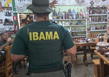 Ibama realiza operação contra o tráfico de espécies em 20 estados — Ibama