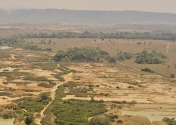 Ibama interrompe garimpo ilegal na Terra Indígena Kayapó, no PA — Ibama