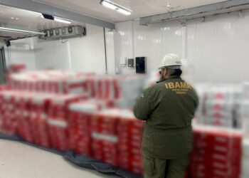 Ibama combate a pesca ilegal e apreende mais de 40 toneladas de peixe ameaçado de extinção, no Ceará — Ibama