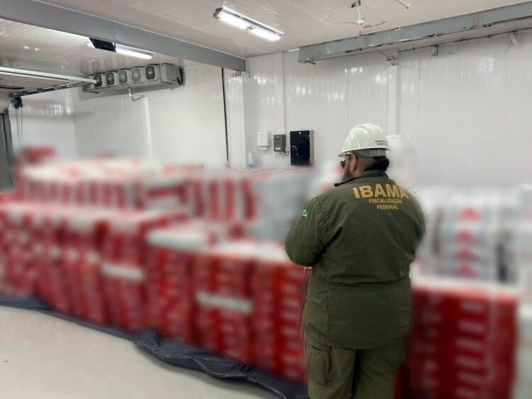 Ibama combate a pesca ilegal e apreende mais de 40 toneladas de peixe ameaçado de extinção, no Ceará — Ibama