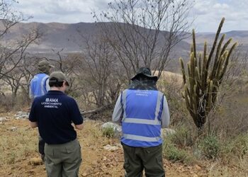 Ibama avalia viabilidade ambiental de projeto de mineração de urânio no Ceará — Ibama