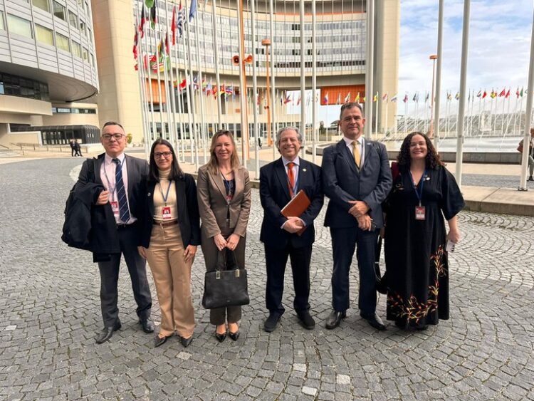 Brasil apresenta proposta de resolução sobre crimes ambientais na COP12 da UNTOC