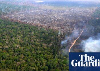 Brasil envia 1.500 bombeiros para combater incêndios na floresta amazônica | Crise climática