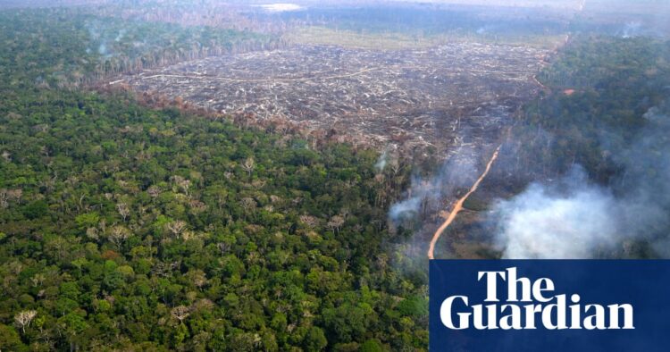 Brasil envia 1.500 bombeiros para combater incêndios na floresta amazônica | Crise climática