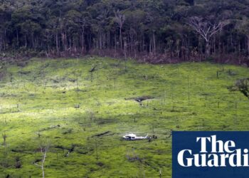 Desmatamento na Colômbia cai para nível mais baixo em 23 anos | Colômbia