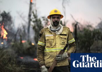 'É uma guerra de guerrilha': equipes de bombeiros brasileiras combatem incêndios na Amazônia – e os incendiários que os iniciam | Brasil