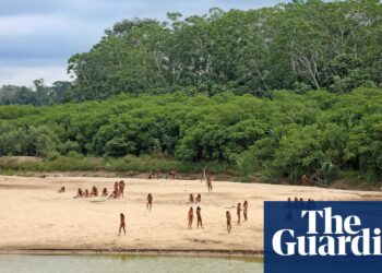 Grupo indígena 'isolado' ataca madeireiros na Amazônia peruana | Peru