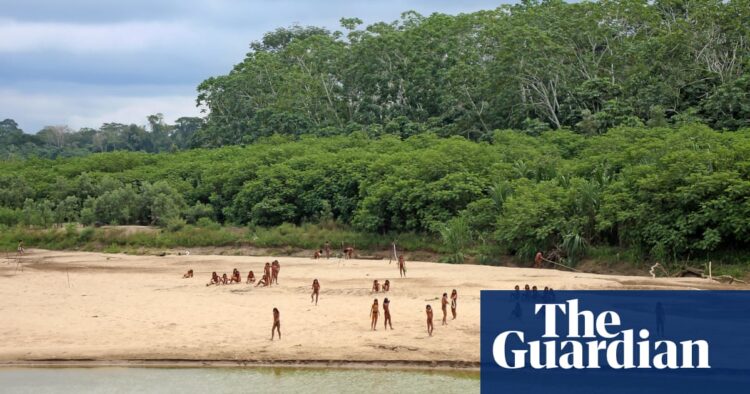 Grupo indígena 'isolado' ataca madeireiros na Amazônia peruana | Peru