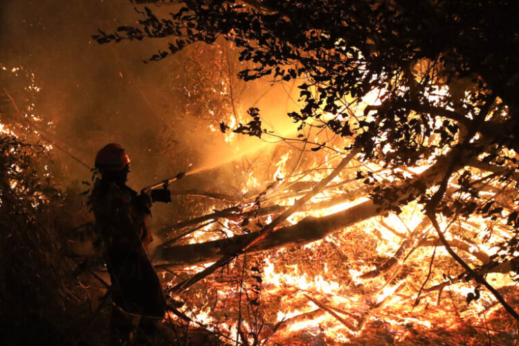 Incêndios florestais assolam a América do Sul, devastando a Amazônia e além