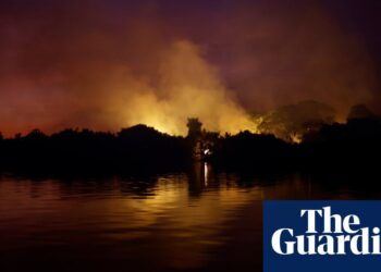 Incêndios florestais no Pantanal brasileiro alimentados 'por perturbações climáticas' | Crise climática