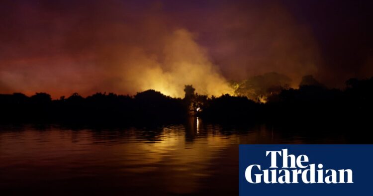 Incêndios florestais no Pantanal brasileiro alimentados 'por perturbações climáticas' | Crise climática