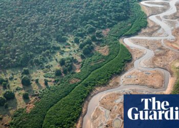 Presidente brasileiro voa para a Amazônia em meio a alarme sobre secas e incêndios florestais | Floresta amazônica