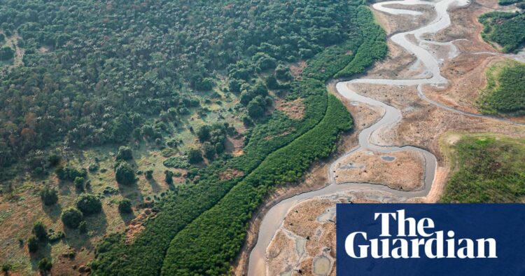 Presidente brasileiro voa para a Amazônia em meio a alarme sobre secas e incêndios florestais | Floresta amazônica