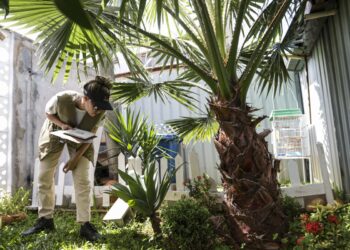 Prevenção de dengue deve ir além de mensagens sobre hábitos e cuidados