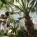 Prevenção de dengue deve ir além de mensagens sobre hábitos e cuidados