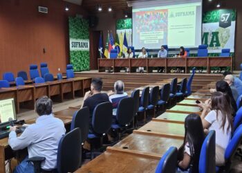 Suframa promove painel sobre importância do suporte às vítimas de violência — Suframa