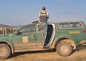 Operação Carne Fria 2 do Ibama identifica 23 frigoríficos que compravam gado produzido em áreas embargadas — Ibama