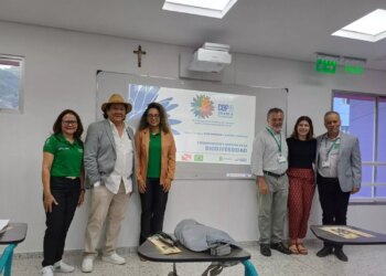 COP 16: Fundação Amazônia Sustentável apresenta a importância da criação do Parque Estadual Ambiental das Árvores Gigantes na Amazônia - FAS