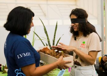 Educação ambiental é tema de exposição da FAS - FAS