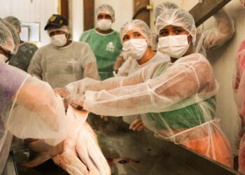 Capacitação em boas práticas para manejo do pirarucu beneficia mais de 80 pescadores na RDS Mamirauá - FAS