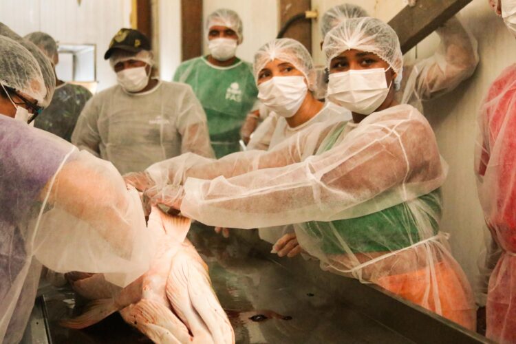 Capacitação em boas práticas para manejo do pirarucu beneficia mais de 80 pescadores na RDS Mamirauá - FAS
