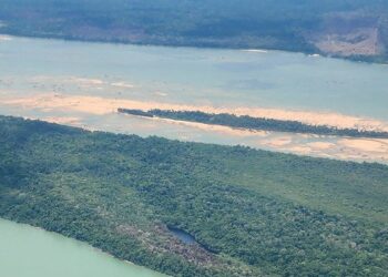 Ibama atua em força-tarefa multiagências para desintrusão da Terra Indígena Munduruku (PA) — Ibama